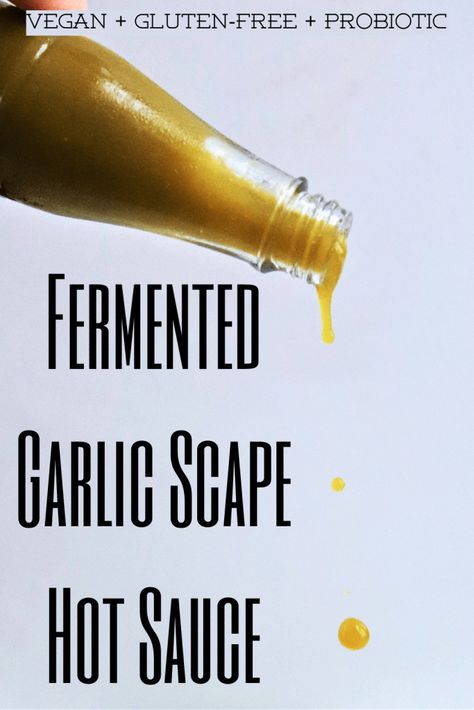 Fermented Garlic Scapes, Fermented Hot Sauce Recipe, Fermented Hot Sauce, Fermented Garlic, Fermenting Weights, Cooking Vegan, Food Preserving, Garlic Scapes, Hot Sauce Recipes