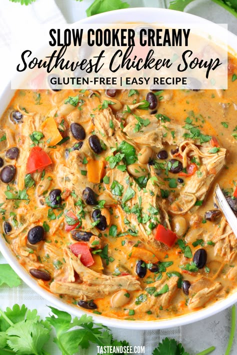 Creamy Southwest Chicken, Southwest Chicken Soup, Southwest Chicken, Gluten Free Recipes Easy, Chicken Soup Recipes, Slow Cooker Soup, Crockpot Recipes Slow Cooker, Easy Soups, Easy Soup Recipes