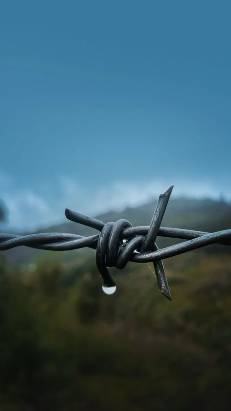 Barbed Wire Wallpaper, Wallpapers Hd 4k, 2160x3840 Wallpaper, Wallpapers For Desktop, Hd Background, Best Wallpapers, Barbed Wire, Wallpapers Hd, The Mind