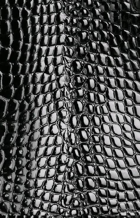 Look 80s, Texture Inspiration, Material Textures, 3d Texture, Materials And Textures, Animal Skin, Black Textures, Leather Texture, White Photo