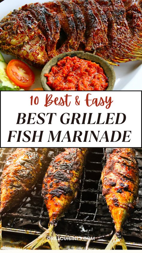 The Best Grilled Fish marinade Recipes are perfect for making grilled fish tacos, glazed salmon, marinated fish, blacked fish, cedar plank grilled fish, and so much more. | summer fish ideas | healthy fish dinners | grilled seafood, Fish On The Bbq, Grilled Halibut Marinade Recipes, Grilled Striper Fish Recipes, Marinade For Fish Tacos, Tile Fish Recipe Grilled, Bbq Fish Grill, Grilled Fish Dinner Ideas, Grilled Perch Fish Recipes Bbq Whole Fish, Fish Bbq Grilled, Grilled Striper Fish Recipes, Whole Fish Recipes Grilled, Blacked Fish, Striper Fish Recipes, Grilled Fish Marinade, Halibut Marinade, Grill Fish Recipes