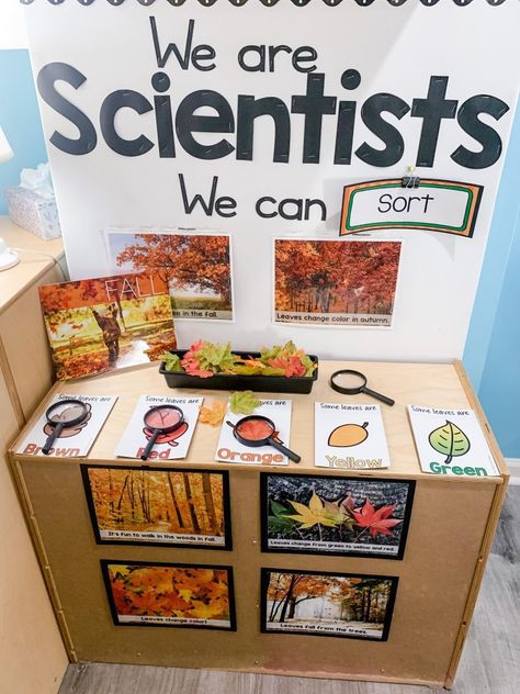 Experiment For Preschool, Science Center Preschool, Pre K Science, Sort By Color, Science Area, Fall Science, Preschool Rooms, Preschool Science Activities, Prek Classroom