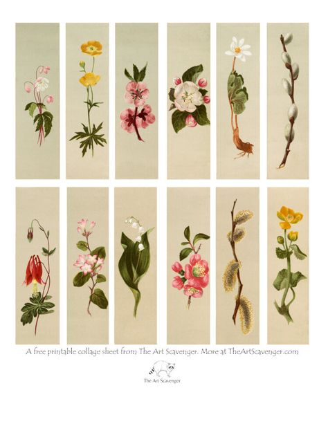 Free Printable Flower Collage Sheet — The Art Scavenger Vintage Bookmarks Printable Free, Bookmarks To Print Free Printable, Free Printable Bookmarks Aesthetic, Vintage Bookmarks Printable, Cute Bookmarks Printable, Journal Stickers Free Printable, Printable Bookmarks Aesthetic, Bookmarks Free Printable, Bookmarks To Print