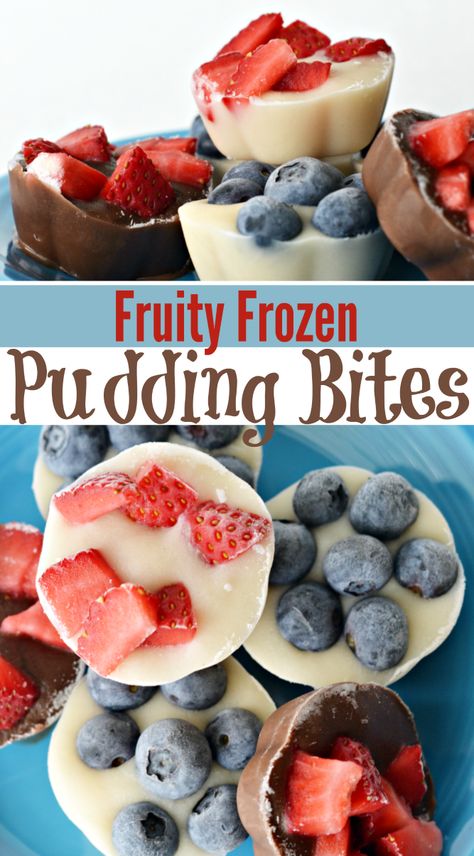 Frozen Pudding Desserts, Easy Frozen Fruit Dessert, Frozen Fruit Ideas, Frozen Fruit Dessert Recipes, Frozen Fruit Dessert Healthy, Diy Frozen Yogurt Bites, Mini Frozen Yogurt Bites, Frozen Pudding Pops, Pudding Snacks