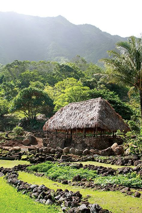 Indigenous Architecture, Tropical Botanical Garden, Hawaiian History, Social Structure, Primitive House, Polynesian Village, Hawaiian Homes, Hawaiian Art, Tropical Botanical