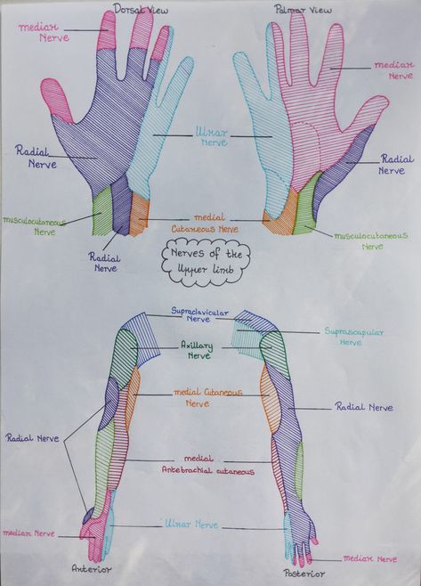 Physiotherapy Study Notes, Physical Therapy Notes, Physiotherapy Notes, Physical Therapy Student Aesthetic, Physical Therapy Aesthetic, Physical Therapy Assistant Student, Physiotherapy Student, Pt School, Med School Study