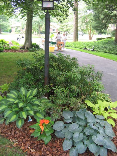 1506 Larry Avenue lamppost garden | Kasmira | Flickr Lampost Landscaping, Plants Around Light Post, Flag Pole Landscaping Front Yards, Light Post Landscaping, Front Yard Lighting, Mailbox Garden, Mailbox Landscaping, Outdoor Lamp Posts, Landscaping Retaining Walls