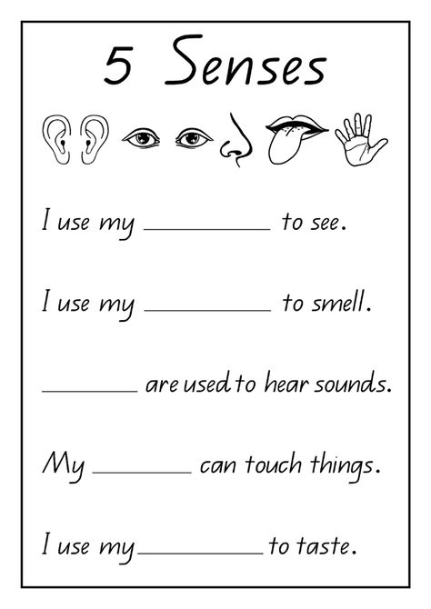 5 Senses Worksheet, Grade R Worksheets, Five Senses Worksheet, Worksheet Kindergarten, Worksheets For Class 1, English Worksheets For Kindergarten, Grammar For Kids, Kindergarten Reading Worksheets, 1st Grade Science