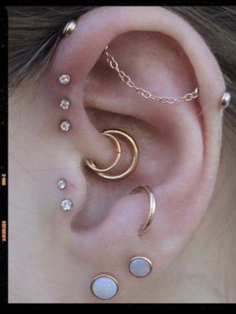 Daith Piercing Combos, Ear Curation Themes, Daith Industrial Piercing, Industrial Piercing Jewelry Elegant, Daith Piercings Ideas, Industrial And Daith Piercing, Double Daith Piercing, Unique Industrial Piercing, Different Ear Piercings Ideas