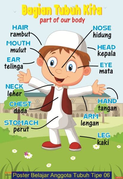 12+ Gambar Kartun Tubuh Manusia - Miki Kartun