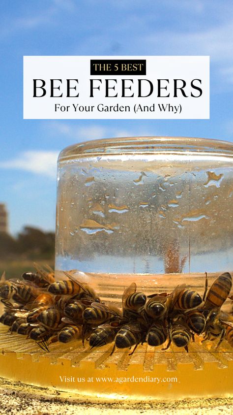 Discover the 5 Best Bee Feeders For Your Garden (And Why)! Enhance your garden's pollination with top-notch bee feeders that attract and sustain these vital pollinators. Explore the best options to keep your bees happy, healthy, and buzzing all season long. Learn why these feeders stand out and how they can transform your garden into a thriving, buzzing paradise. Don't miss out on creating a bee-friendly haven! Bee Friendly Yard, Attract Bees To Garden, Build A Bee Hive, Bee Keeping For Beginners, Bee Shed, Bee Garden Design, How To Start Beekeeping, Honey Bee Garden, Bee Feeder