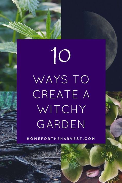 Oooh I can't wait to try this! These tips for a witch garden are actually super detailed. I'd love to have my own witch's garden! #witchgarden #witch #magic #plants Food Merchandising, Witches Garden, Witch's Garden, Witchy Garden, Merchandising Tips, Witch Herbs, Witch Garden, Organic Vegetable Garden, Moon Garden