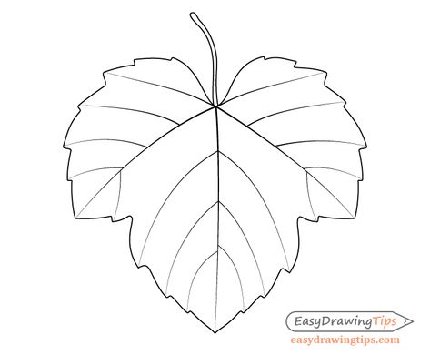 How to Draw Grapes Step by Step Tutorial - EasyDrawingTips Leaf Drawing Simple, Fall Leaves Drawing, Grape Drawing, Leaf Sketch, Drawing Leaf, Grapevine Leaf, Vine Drawing, Leaves Sketch, Preschool Prep