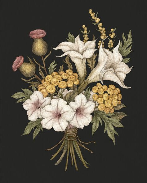 Jessica Roux Illustration, Bouquet Reference, Victorian Language Of Flowers, Victorian Language, Types Of Magic, Fox Squirrel, Tudor Rose, Ancient Mythology, Interior Illustration