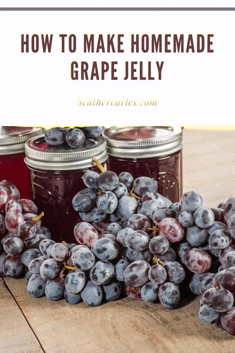 Homemade Grape Jelly, Concord Grape Jelly, How To Make Jelly, Grape Jam, Canning Jam, Homemade Jelly, Jelly Recipe, Grape Jelly, Jam And Jelly