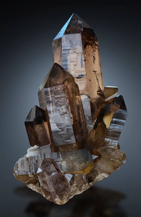 Smoky Quartz - Haslital, Berner Oberland, Switzerland. Crystal Castle, Pretty Rocks, Cool Rocks, Smoky Quartz Crystal, Minerals And Gemstones, Rocks And Gems, Gems And Minerals, Stone Rocks, A Rock