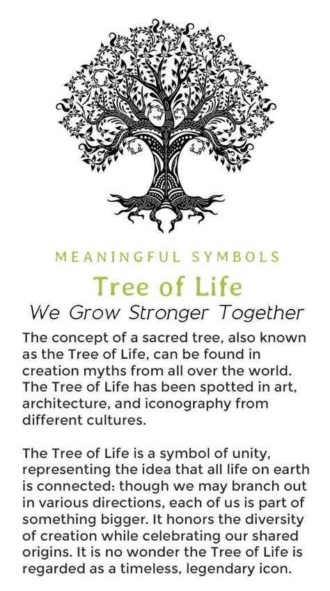 Tree Of Life Scripture, Tree Meanings Tattoo, Meaning Of Tree Of Life, Tree Of Life Meaning Spiritual, Tree Meditation, Tree Of Life Drawing, Tree Of Life Quotes, Trees For Life, Tree Meanings