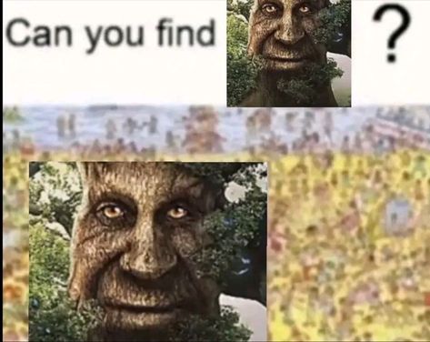 The Wise Tree, Wise Mystical Tree, Wise Tree, Tree Tree, Pinterest Memes, Meme Stickers, I Have No Friends, Oak Tree, Random Memes