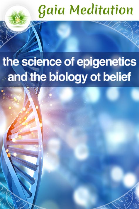 The Science of Epigenetics and the Biology of Belief Epigenetics is the study of the interactions between DNA and the multitude of smaller molecules found within cells, which can activate or deactivate genes. It might actually complicate the old ‘nature versus nurture’ question even more. | Read more about it and about the Subconscious Mind reprogramming explained by Dr. Bruce Lipton. Epigenetics Science, Genetic Memory, Mind Reprogramming, Biology Of Belief, Retrain Your Brain, Bruce Lipton, Body Change, Mast Cell Activation, Rewire Your Brain