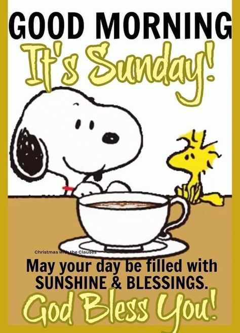 Snoopy Sunday, True Gif, Peanut Gallery, Good Morning Christmas, Sunday Morning Coffee, Happy Sunday Morning, Good Morning Snoopy, Sunday Greetings, Good Sunday Morning