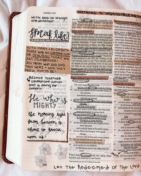 Luke Bible Journaling Notes, Luke 2 Bible Study Notes, Luke Bible, Bible Journal Notebooks, Bible Studying, Bible Verse Background, Personal Bible Study, Bible Journaling Ideas Drawings, Bible Doodling