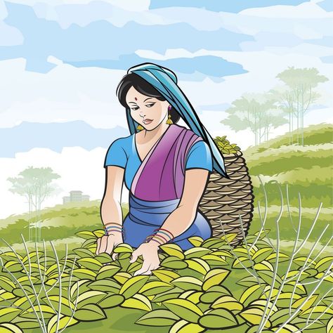 Assam Illustration, Sri Lankan Art, Grass Drawing, Salwar Neck Designs, Indian Illustration, Dancing Drawings, Perspective Drawing Lessons, Garden Illustration, Garden Drawing