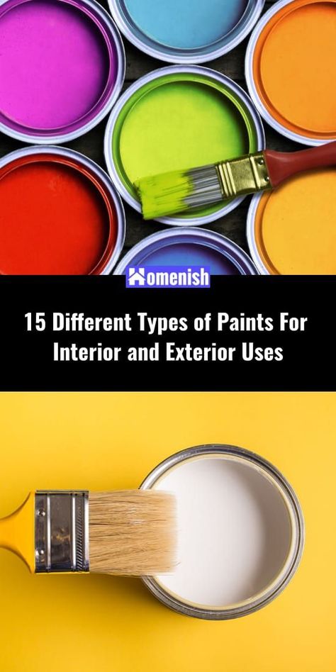 What's the best kind of paint for your project? There are lots of types of paints to choose from, ranging from material composition to finishing texture and sheen. Find out their different uses here. Outside Wall Paint, Satin Finish Paint, Different Types Of Painting, High Gloss Paint, Flat Paint, Gloss Paint, Paint Types, Water Based Paint, Essential Tools