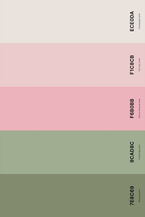 Color Pallettes Aesthetic Pastel, Paint Swatches Aesthetic, Pink Green Colour Palette, Pastel Green Colour Palette, Pink Green Pastel Color Palette, Green Pink And White Color Palettes, Green Pink Pallet Color, Pink Green Beige Colour Palette, Pastel Pink And Green Palette