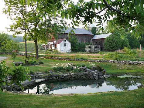 Pinterest: ange de la cuesta Farm Landscaping, Farm Pond, Building A Pond, Natural Swimming Ponds, Small Pond, Fountains Backyard, Pond Landscaping, Swimming Pond, Natural Pond