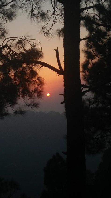 Rajgarh near Solan, Himachal Pradesh October 2017 PC - Bhawna Khanna #india #bharat #nature #hindustan #himachal Himachal Pradesh Photography, Himachal Photography, Nature Snapchat, Solan Himachal Pradesh, Sunset In Mountains, Hills Aesthetic, Nature Dp, Aesthetic Mountains, Mountains Sunset