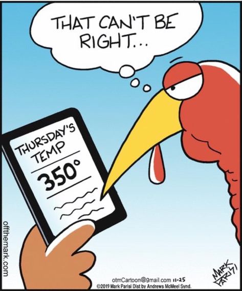 Funny Thanksgiving Pictures, Turkey Jokes, Thanksgiving Meme, Thanksgiving Jokes, Thanksgiving Cartoon, Thanksgiving Pictures, Thanksgiving Images, Happy Turkey Day, Thanksgiving Greetings