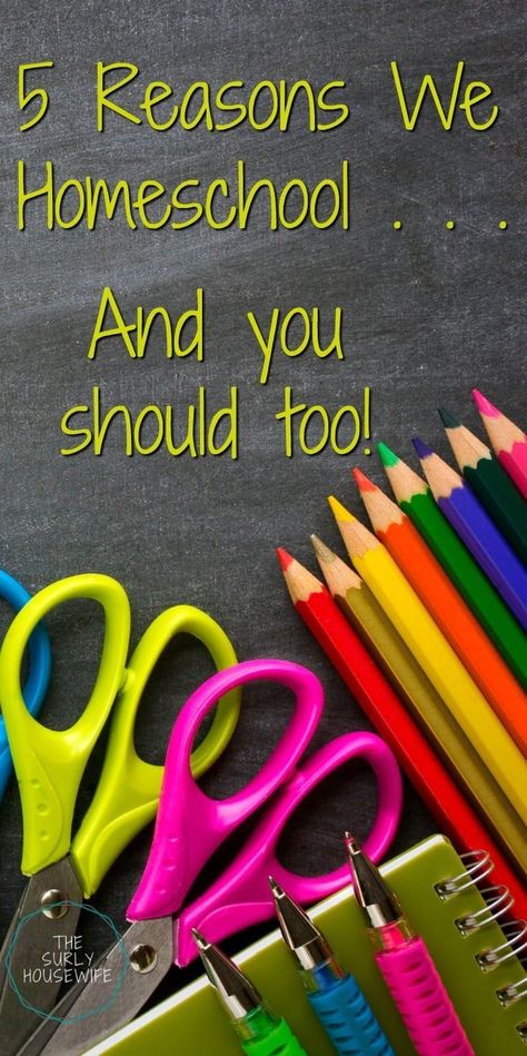 I never thought we would homeschool, but we have fallen in love with it since we started! Here are 5 reasons why we homeschool our kids and you should too!! #Homeschooling #HomeschoolMom #HomeEducation Homeschool Advice, Homeschool Crafts, Homeschool Inspiration, How To Start Homeschooling, Homeschool Encouragement, Homeschool Schedule, Homeschool Life, Homeschool Help, Homeschool Planning