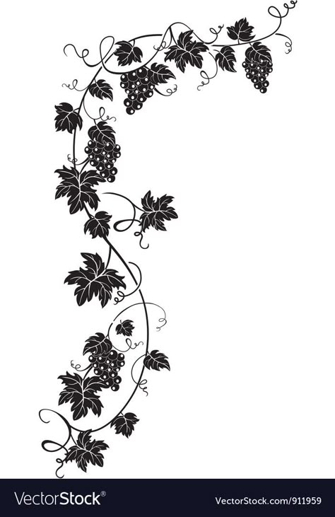 Grapevine Tattoo, Grape Vine Tattoo, Vines Drawing, Vine Illustration, Grape Drawing, Wine Vine, Branch Drawing, Vine Drawing, Lantern Tattoo