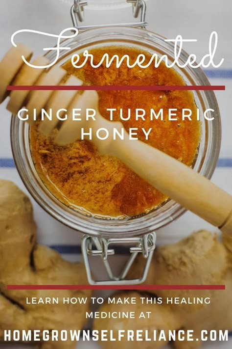 Fermented Ginger, Ginger Tumeric, Fermented Vegetables Recipes, Fermented Honey, Infused Honey, Turmeric And Honey, Healthy Nutrition Plan, Fermentation Recipes, Fermented Vegetables