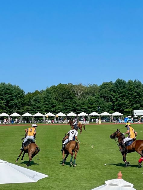 #polo #poloralphlauren #greenwich #ct #connecticut #horse #summer #poloclub Greenwich Ct Aesthetic, Polo Match Aesthetic, Polo Aesthetic Sport, Polo Club Aesthetic, Polo Horse Aesthetic, Greenwich Connecticut Aesthetic, Polo Sport Aesthetic, Polo Aesthetic, Polo Event