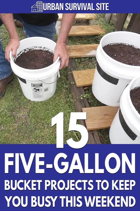 Five Gallon Bucket, Potato Planters, Tomato Planter, 5 Gallon Buckets, Old Bucket, Bucket Ideas, Bucket Planters, Bucket Gardening, Survival Gardening