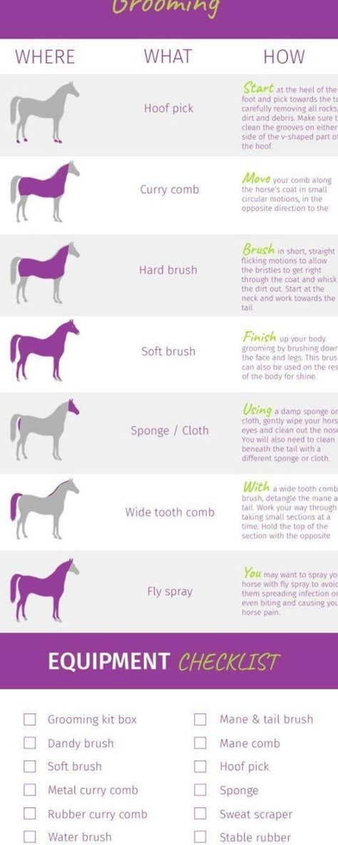 Horse Checklist, Guide Infographic, Horse Lessons, Horse Information, Horse Exercises, Horse Care Tips, Horse Facts, Horse Riding Tips, Horse Camp