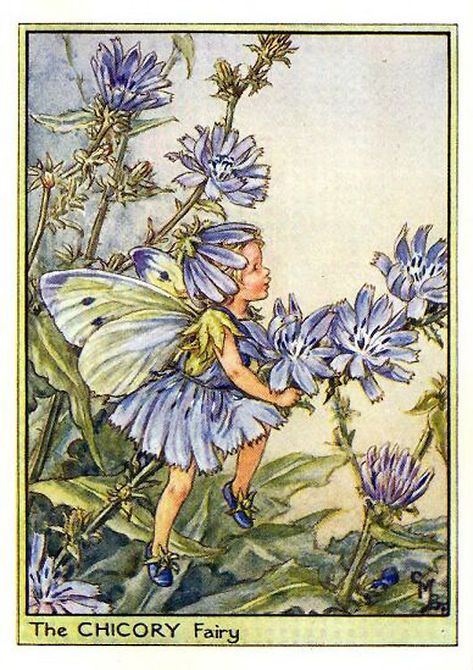 Fairy Drawings, Fairy Illustration, Fairy Pictures, Fairy Artwork, Cicely Mary Barker, Fairy Aesthetic, Vintage Fairies, Flower Fairies, Fairytale Art