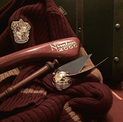 harry potter Quidditch Aesthetic, Ginny Weasley Aesthetic, Rabastan Lestrange, Weasley Aesthetic, Gryffindor Aesthetic, Harry Potter Quidditch, Oliver Wood, Harry Potter Icons, Images Harry Potter