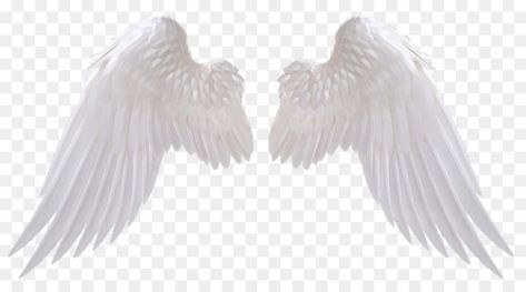 Angel Wings Png, Wings Png, White Angel Wings, Blurred Background Photography, New Photos Hd, Portrait Lighting, Phone Art, White Angel, Iphone Background Images