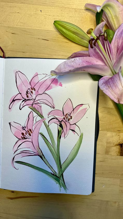 A quick watercolor and ink sketch of some pink lilies leftover from a little Easter bouquet. It is always a gift to myself to paint…even… | Instagram Ink Drawing Watercolor, Flower Sketches Watercolor, Watercolor Art Ideas Flowers, Ink And Watercolor Art Flowers, Mother’s Day Card Drawing, Watercolor Art Advanced, Quick Watercolor Paintings, Watercolour Lilies, Watercolor Pencil Art For Beginners