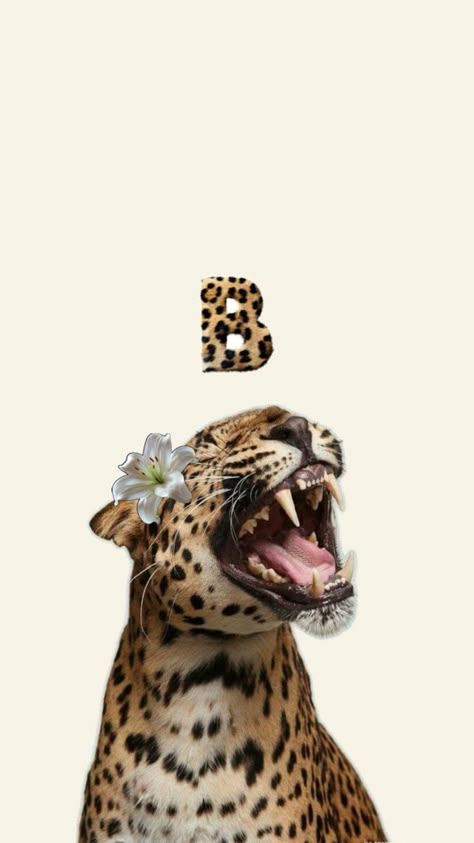 Letter B aesthetic wallpaper. aesthetic iphone letter wallpaper. Aesthetic tiger wallpaper. Glamour Wallpaper, Jaguar Wallpaper, Cheetah Print Background, Cheetah Background, Cheetah Wallpaper, Leopard Print Background, Leopard Print Wallpaper, Christmas Wallpaper Iphone Cute, Cheetah Print Wallpaper