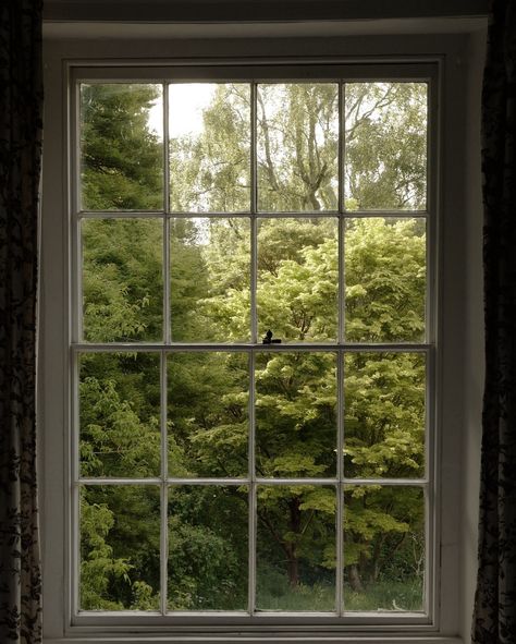 Window Garden View, Kaia Gerber Summer, Manifesting Aesthetic, Window Landscape, Views Aesthetic, Window Aesthetic, Cottage Windows, Window Views, Cottage Aesthetic