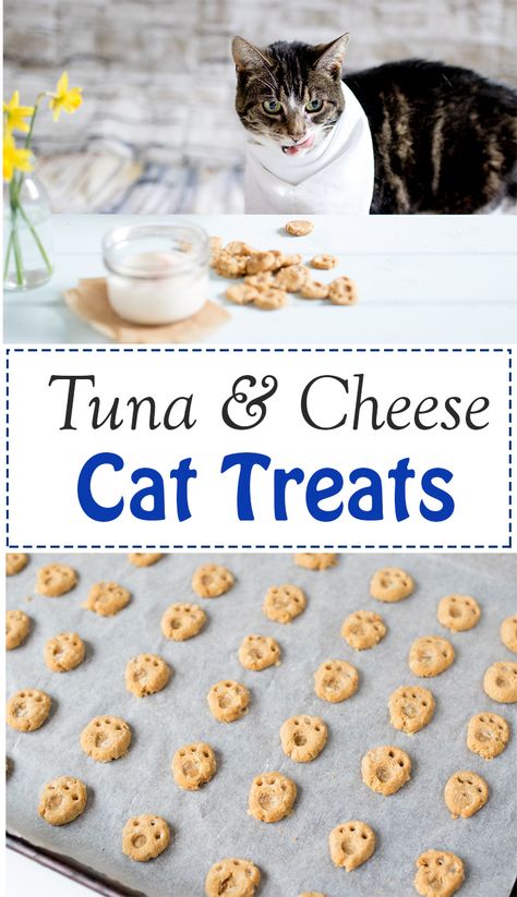 Homemade Cat Treats Recipes, Diy Cat Treats, Katt Diy, Homemade Pet Treats, Katt Grejer, Pet Treats Recipes, Homemade Cat Food, Healthy Dog Treats Homemade, Dog Treats Homemade Recipes