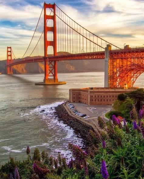 🌉Transformation Thursday: The Evolution of the Golden Gate Bridge 🕰️🆚🔮 From its riveting beginnings in 1939 to its majestic presence today, the Golden Gate Bridge in San Francisco has witnessed an extraordinary transformation. Back in ‘39, this engineering marvel was the tallest and longest suspension bridge in the world, a glowing symbol of innovation and resilience. Fast-forward to today, it stands as an iconic beacon, not just for its architectural grandeur but as a testament to timeless ... Golden Gate Bridge Picture Ideas, Golden Gate Bridge Project, Golden Bridge, The Golden Gate Bridge, Golden Gate Bridge Sunset, Golden Gate Bridge At Night, Golden Gate Bridge Painting, Senior Trip, Riveting