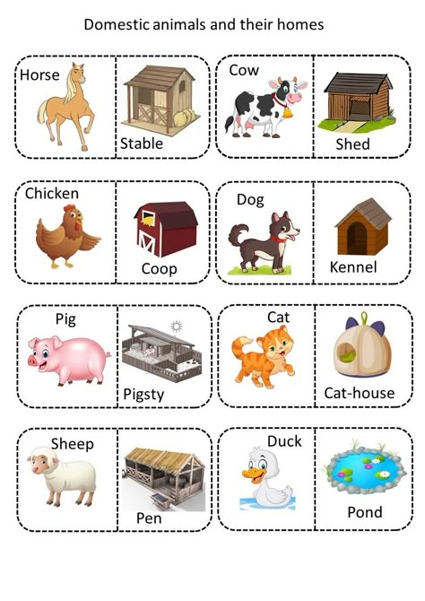 The animals with their homes match Domestic Animals And Their Homes, Animals Home Worksheet, Pet Animals Chart For Kids, Animal Homes Worksheet, Animals And Their Homes Printables, Domestic Animals Preschool, Farm Animals And Their Homes, Animal Homes Preschool, Animals And Their Homes Worksheets