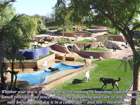 Cool idea for a play yard. I would like to (space permitting) add at least one or two different levels into my outdoor play yards as it provides some added interest for the dogs. Dog Park Design, Hotel Pet, Indoor Dog Park, Dog Friendly Backyard, Boarding Kennels, Dog Backyard, Dog Boarding Kennels, Dog Hotel, Dog Yard