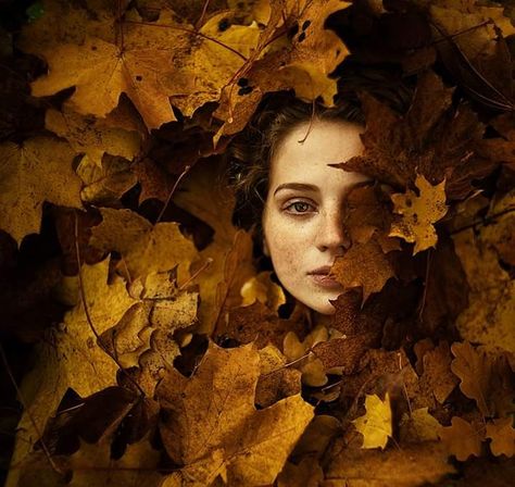 Alexandra Bochkareva, Autumn Portrait, Fine Art Portrait Photography, Fine Art Portraits, Fall Photoshoot, Foto Art, Creative Portraits, Fine Art Photo, Photography Portrait