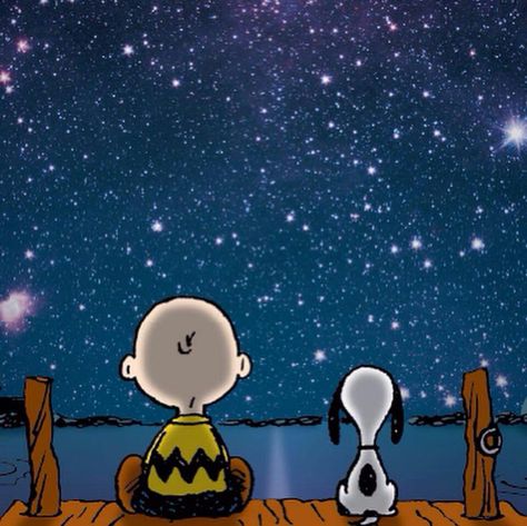 Starry night | Snoopy quotes, Charlie brown quotes, Snoopy