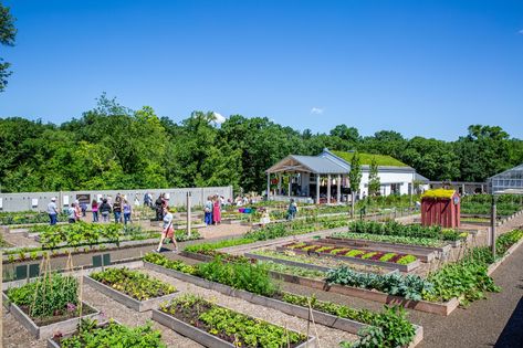 Urban Farming Architecture, Farm School, Renovation Architecture, New York Botanical Garden, Landscape And Urbanism, Edible Landscaping, Farm Design, Design Innovation, Community Gardening